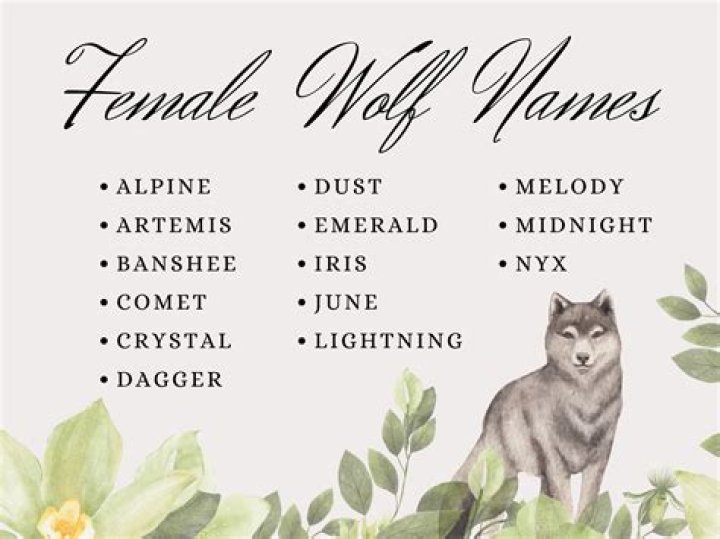 Discover Badass Wolf Names Female For A Unique Legacy