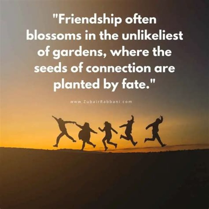 Unveiling The Power Of "Good Night With Friendship Quotes": Discoveries And Insights